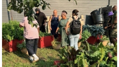 participants in the eden garden