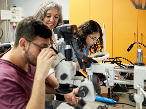 Image of STEM students